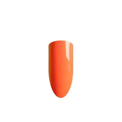 QUANTUM NR018 3 QUANTUM NR018 - Image 2