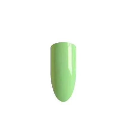 QUANTUM NR183 3 QUANTUM NR183 - Image 2