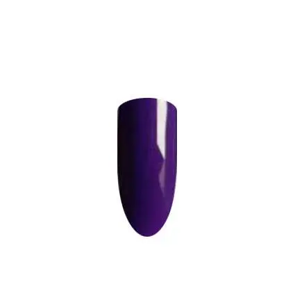 QUANTUM NR204 - Image 2