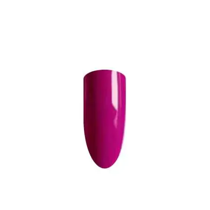QUANTUM NR209 - Image 2