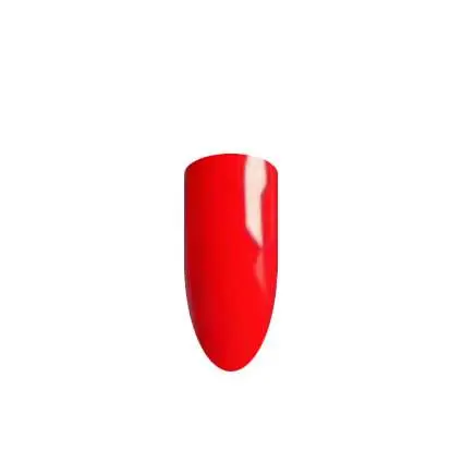 QUANTUM NR211 - Image 2