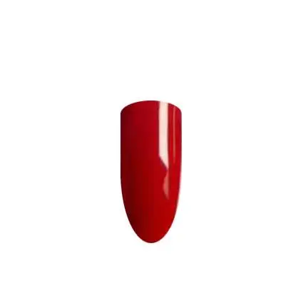 QUANTUM NR213 - Image 2