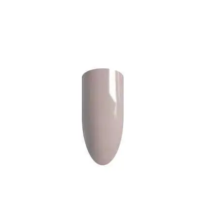 QUANTUM NR224 - Image 2