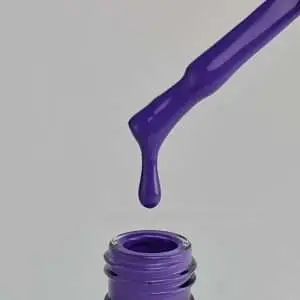 QUANTUM NR029
